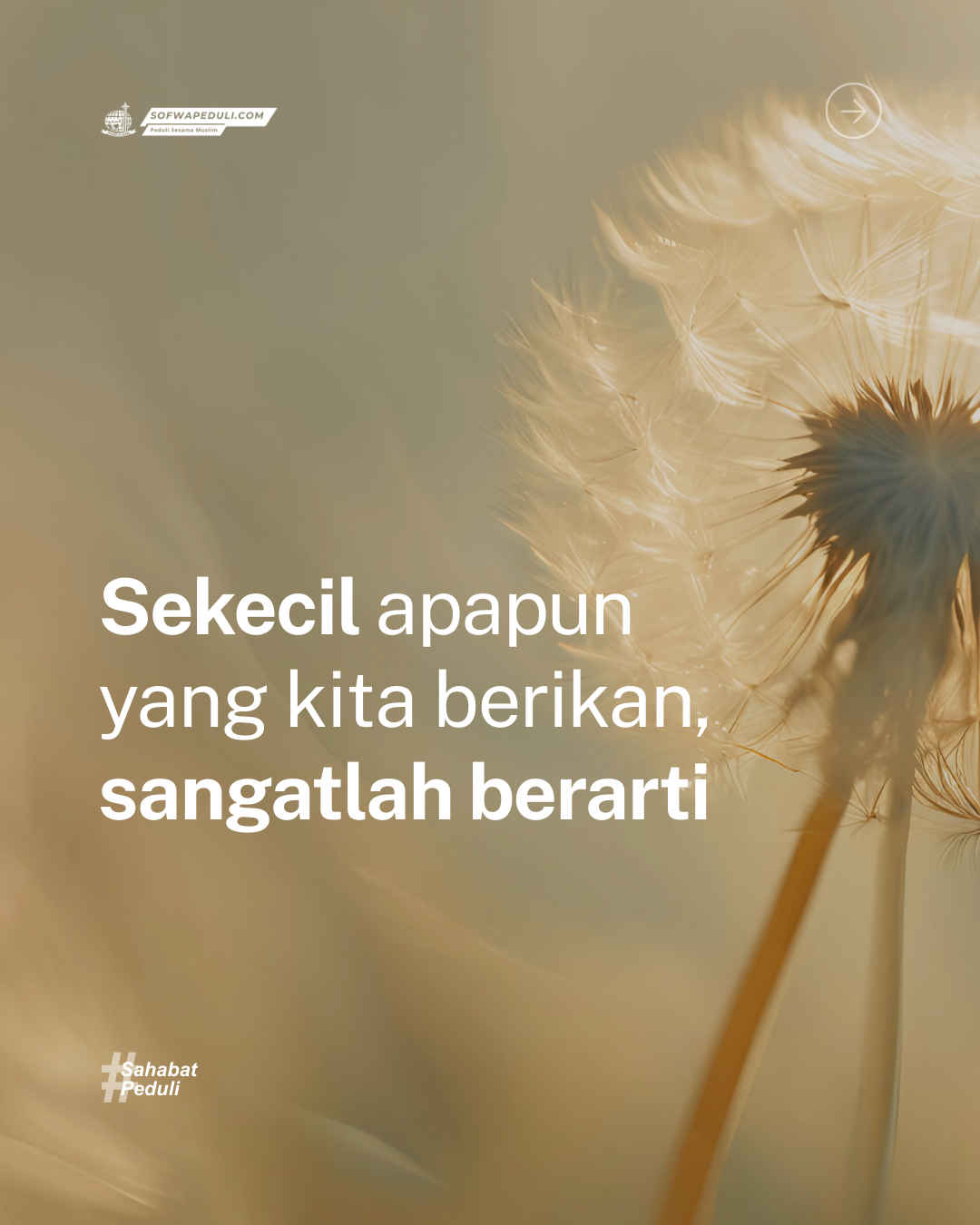 Jejak Kebaikan Penyaluran Zakat Bulan Oktober 2025